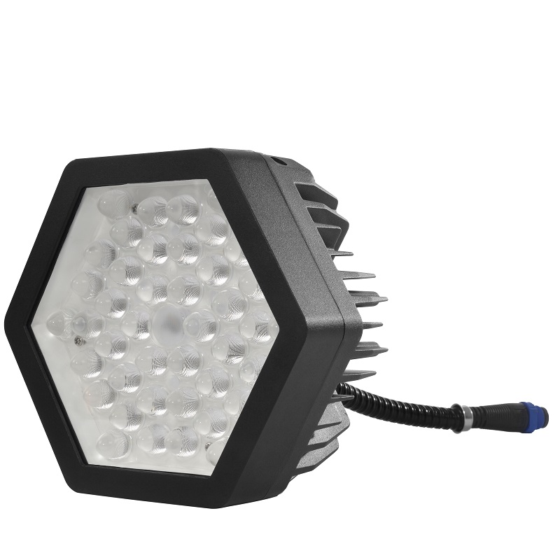 Black Mamba LED flood light