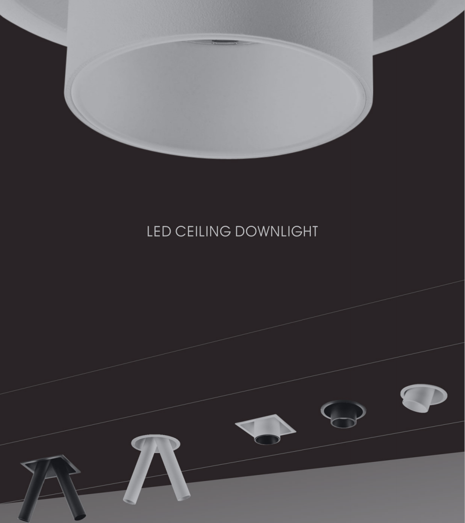 5218/08 Rome series led down light